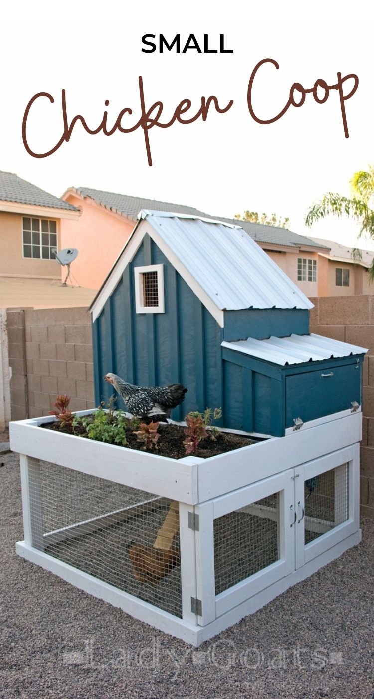 small-flock-chicken-coop-plans-simple-strong-and-easy-to